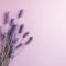 Vintage Lavender Flowers On Pink Background - Minimalistic And Romantic