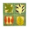 Vintage Leaf Coasters Square