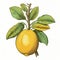 Vintage Lemon Tree Drawing: Detailed Character Illustration In Color