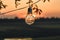 Vintage light bulbs on string wire against sunset decor in outdoors wedding party