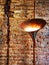 Vintage lighting fixtures design gramophone