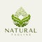 Vintage line nature leaf droplet logo branding. Luxury farm leaf water logo.