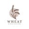 Vintage Lineart Wheat branch logo, Wheat bean, Wheat plant logo icon vector template