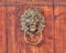 Vintage lion bronze relief outlet on a wooden background.