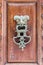 Vintage lion knobs on an old wooden door