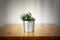 Vintage look plant on wooden table