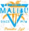 Vintage Malibu beach sport typography; t-shirt graphic; vector i