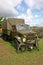 Vintage military trucks