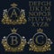 Vintage monogram kit. Golden patterned letters and floral coat of arms frames for creating initial logo in antique style