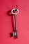 Vintage Mortice Lock Key