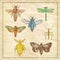 Vintage Moth, Dragonfly, Mantis and Stick Insect Collection on Antique Paper