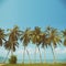 Vintage nostalgic stylized palm tress on ocean beach