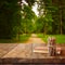 Vintage notebook and stack of wooden colorful pencils on wooden texture table in front of countryside forest view