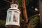 Vintage oil lamp hanging on a tree. Beautiful view of dark forest and lake at night. Hiker, Travel, Outdoor Concept