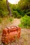 Vintage old brown suitcase surrounded by abandoned plants in the countryside