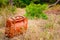 Vintage old brown suitcase surrounded by abandoned plants in the countryside