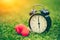 Vintage old clock on the green grass with heart love times memory concept