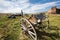 Vintage old west abandoned buildings and wagon, waho in ghost town Bodie, California