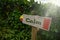 vintage old wooden signboard with text calm near the green plants