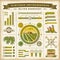 Vintage olive harvest infographic set