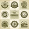 Vintage Organic Labels And Badges Set