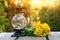 Vintage oriental lantern and yellow spring field flowers