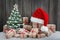 Vintage packages, Christmas tree and Santa Hat