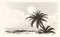 Vintage palm tree sketch