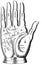 Vintage palmistry hand illustration