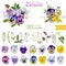 Vintage Pansy Flowers and Leaves