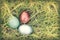 Vintage paper textures, Colorful easter eggs hidden in dense grasses.