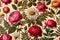Vintage pattern botanical flower, variety of blossoms, floral wallpaper background