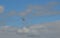 Vintage  PBY-5A Catalina â€œMiss Pick Upâ€ G-PBYA Flying Boat  in Flight. Clouds and Blue Sky.