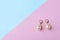 Vintage pearl jewelry earrings on pink blue background. Elegant gift for woman