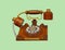 Vintage phone, Wooden telephone isolated on green pastel color background with clipping path.