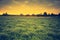 Vintage photo of beautiful landscape with morning meadow