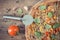 Vintage photo, Pizza cutter with vegetarian pizza, ingredients with spices on wooden background