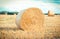 Vintage photo, Round bales of hay on field