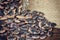 Vintage photo of spilled beans on burlap sack