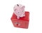 Vintage Piggy Coin Bank and Toy Safe Isolated