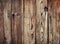 Vintage pine wood texture