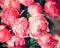 Vintage pink Peonies