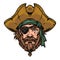 Vintage pirate face, wearing hat and eye patch vector