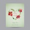 Vintage Poinsettia Christmas Card - Winter Background