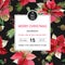 Vintage Poinsettia Christmas Invitation Card - Winter Background