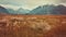 Vintage Polaroid Of Rumex Crispus Field In Tundra Mountains