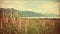 Vintage Portraiture Of Pink Flowers In Front Of Mountains By The Ocean