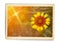 Vintage postcard for invitation with yellow flower helenium