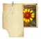 Vintage postcard for invitation with yellow flower helenium