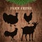 Vintage poster fresh farm with silhouettes of turkey, chicken, rooster and goat on the grunge wood background.